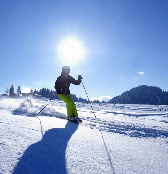 Skifahren im Winter