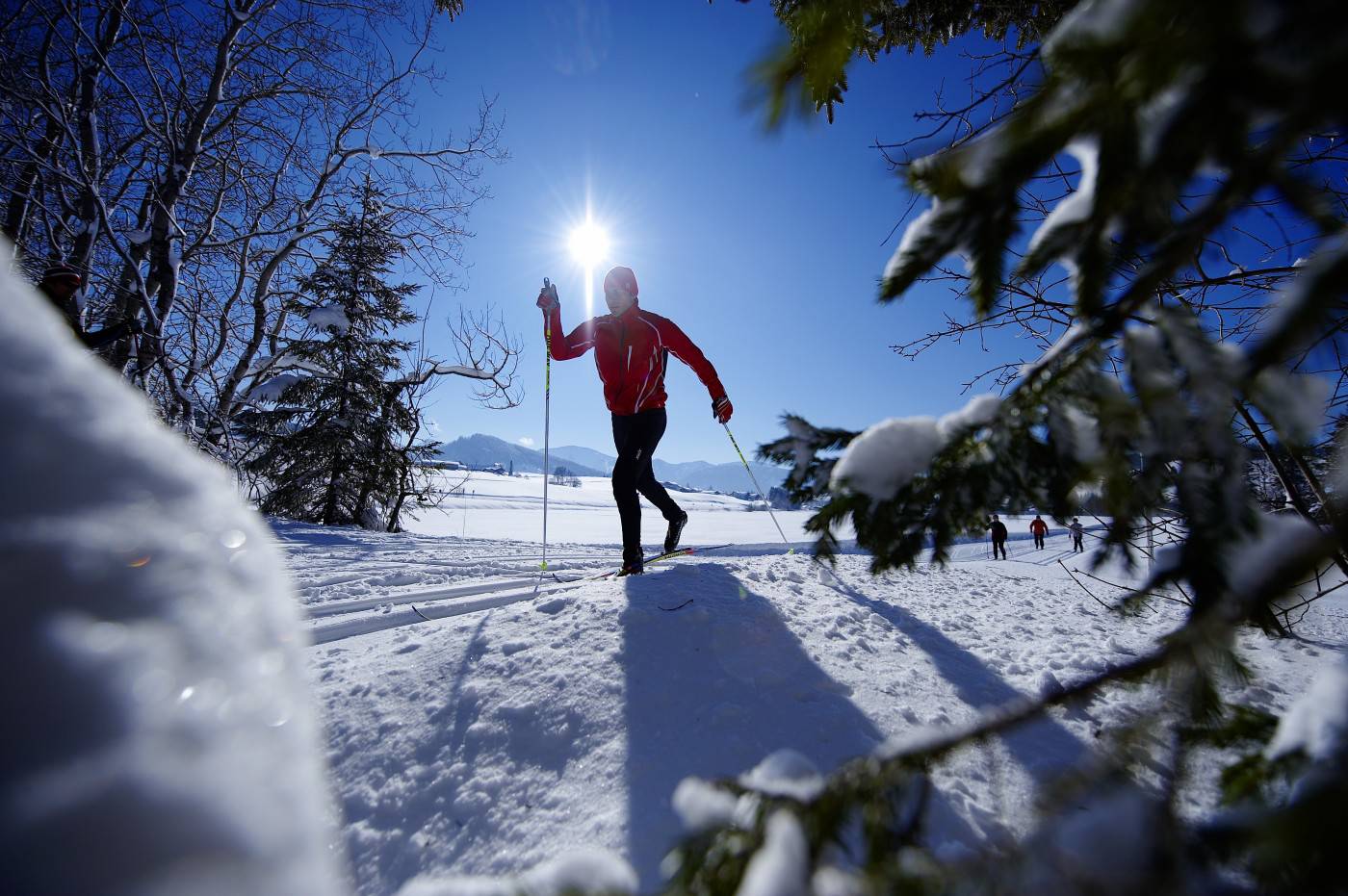 Langlauf im Winter