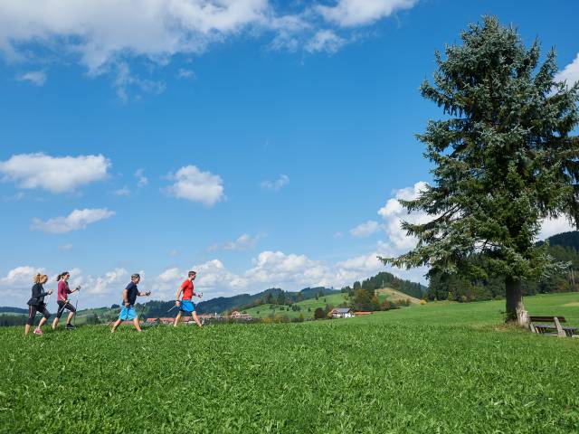 Nordic Walking Sommerurlaub Oberallgäu