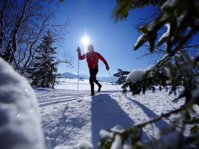 Langlauf im Winter