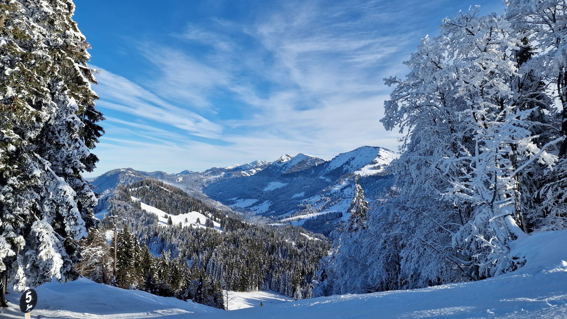 Tourenski oder Skifahren