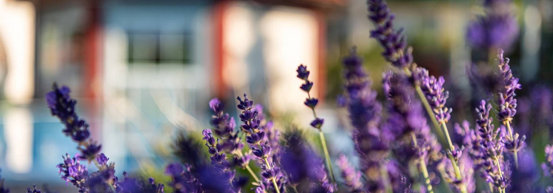 Lavendel Garten 4* S Hotel Dein Engel