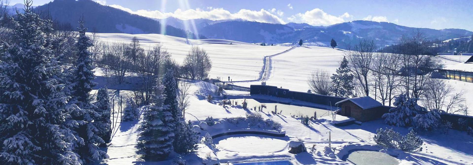 view of the snowy landscape