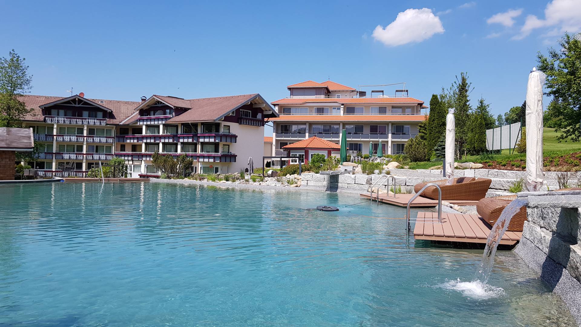 Natur-Schwimmteich im Hotelgarten